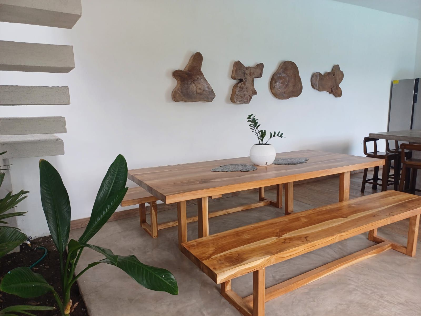 A wooden dining table with benches, a potted plant, and wall-mounted decorative pieces.