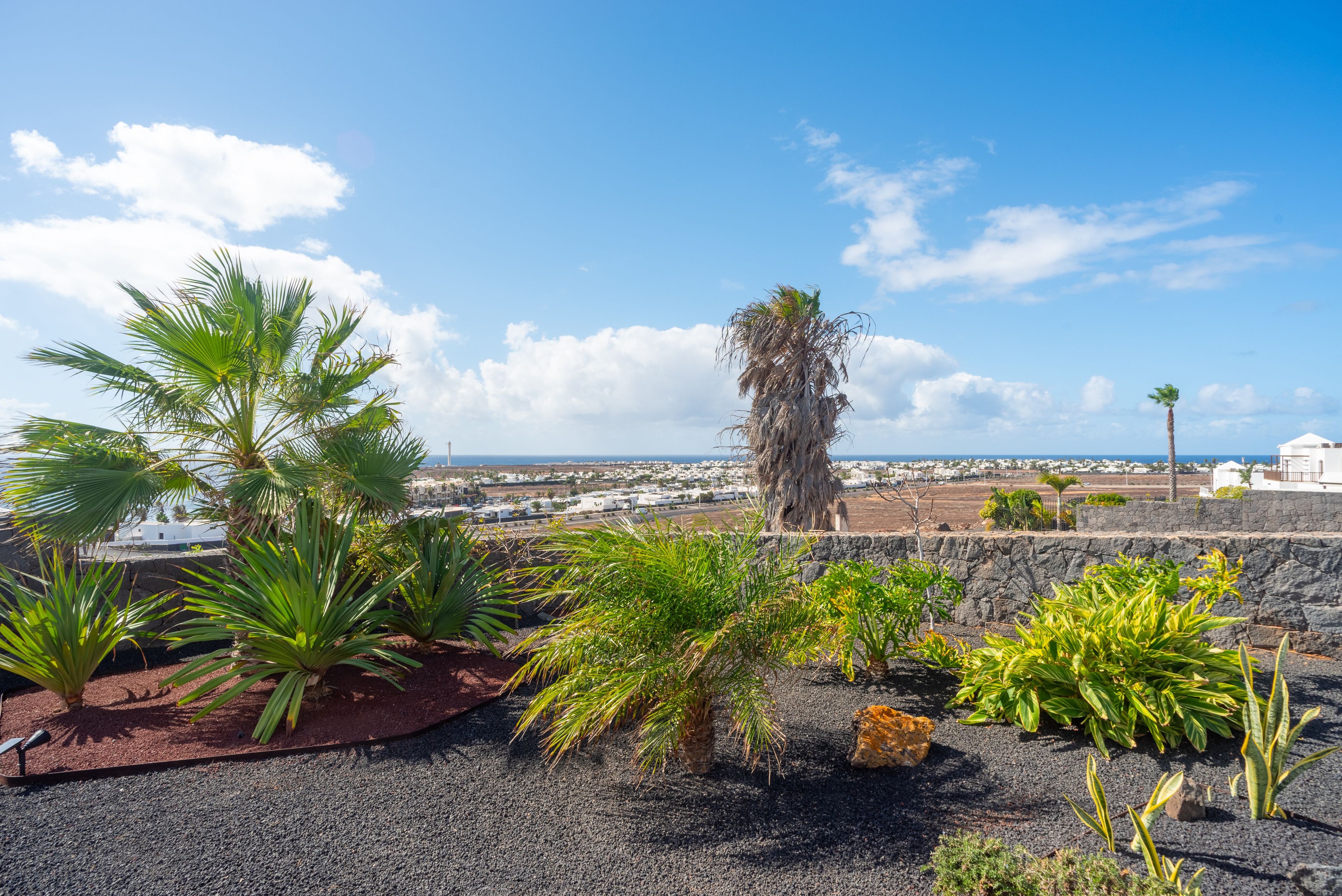 Paisaje costero con diversas plantas tropicales, un muro de piedra y vistas a un pueblo y al mar.