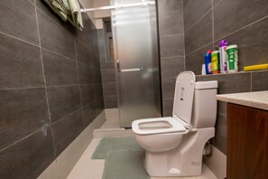 Chuveiro, toalhas de banho, sabonete, papel higiênico