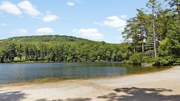 Ein See mit Sandstrand und dichter Waldkulisse.