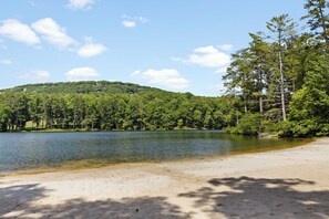 A lake with a sandy beach and dense forest in the background.