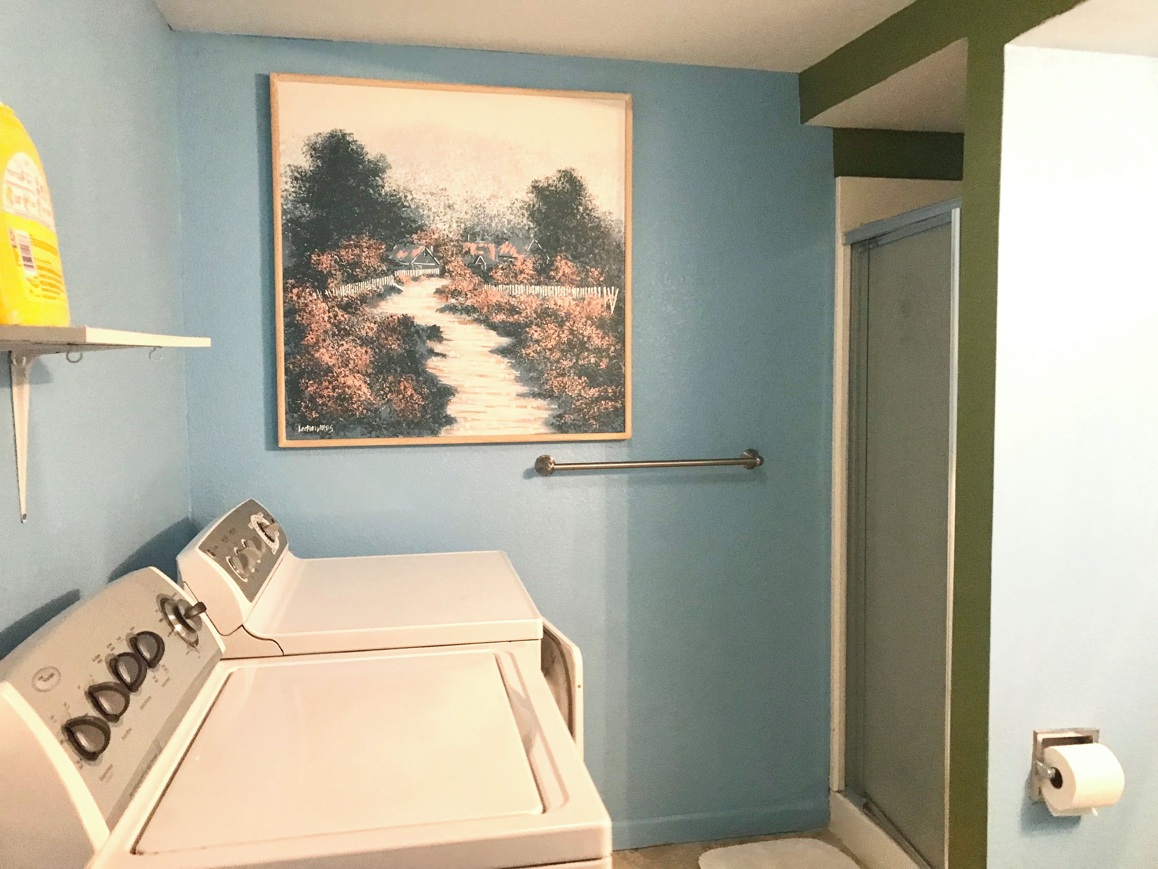A laundry room with a washing machine, a painting of a landscape, and a door with a towel rack.