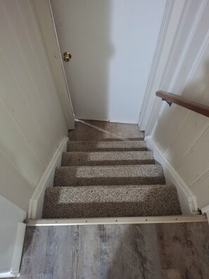 A staircase with carpeted steps leading to a white door.