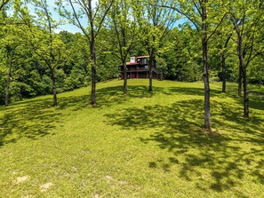 A house surrounded by trees on a grassy hill.