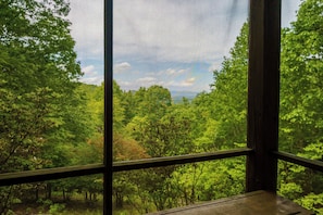 A room with a large window overlooking a dense forest. - Hanging Out in the Clouds (Blue Ridge)