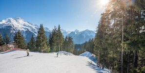 A snowy ski slope with a skier, surrounded by evergreen trees and snow-covered mountains under a clear sky. - Terrace, fireplace or stove, tv, 100m², Champagny-en-Vanoise (Champagny-en-Vanoise)