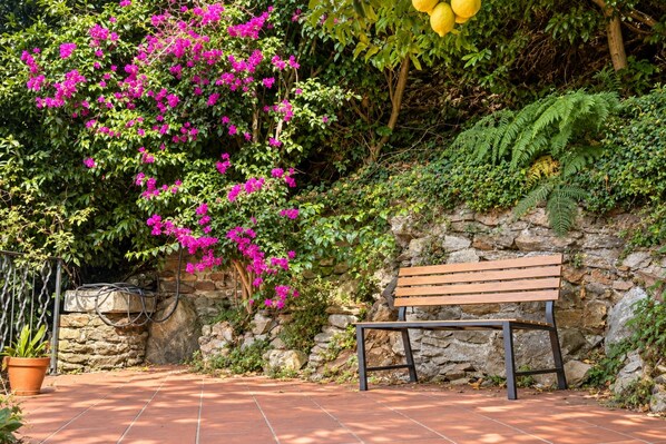A bench in a garden area with a stone wall and flowering plants.