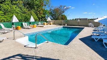 Piscina com espreguiçadeiras e guarda-sóis, cercada por um muro verde e árvores.