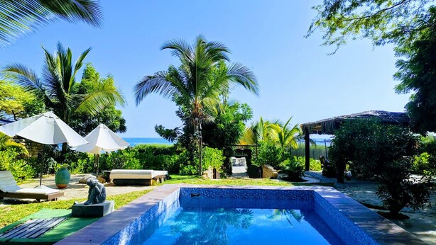 Une piscine entourée d’une végétation luxuriante et de palmiers, sous un ciel bleu azur.