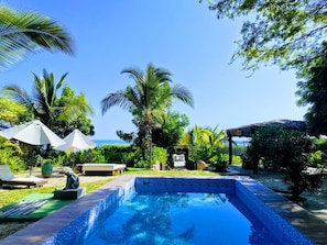 Una piscina rodeada de exuberante vegetación y palmeras, bajo un cielo azul despejado.