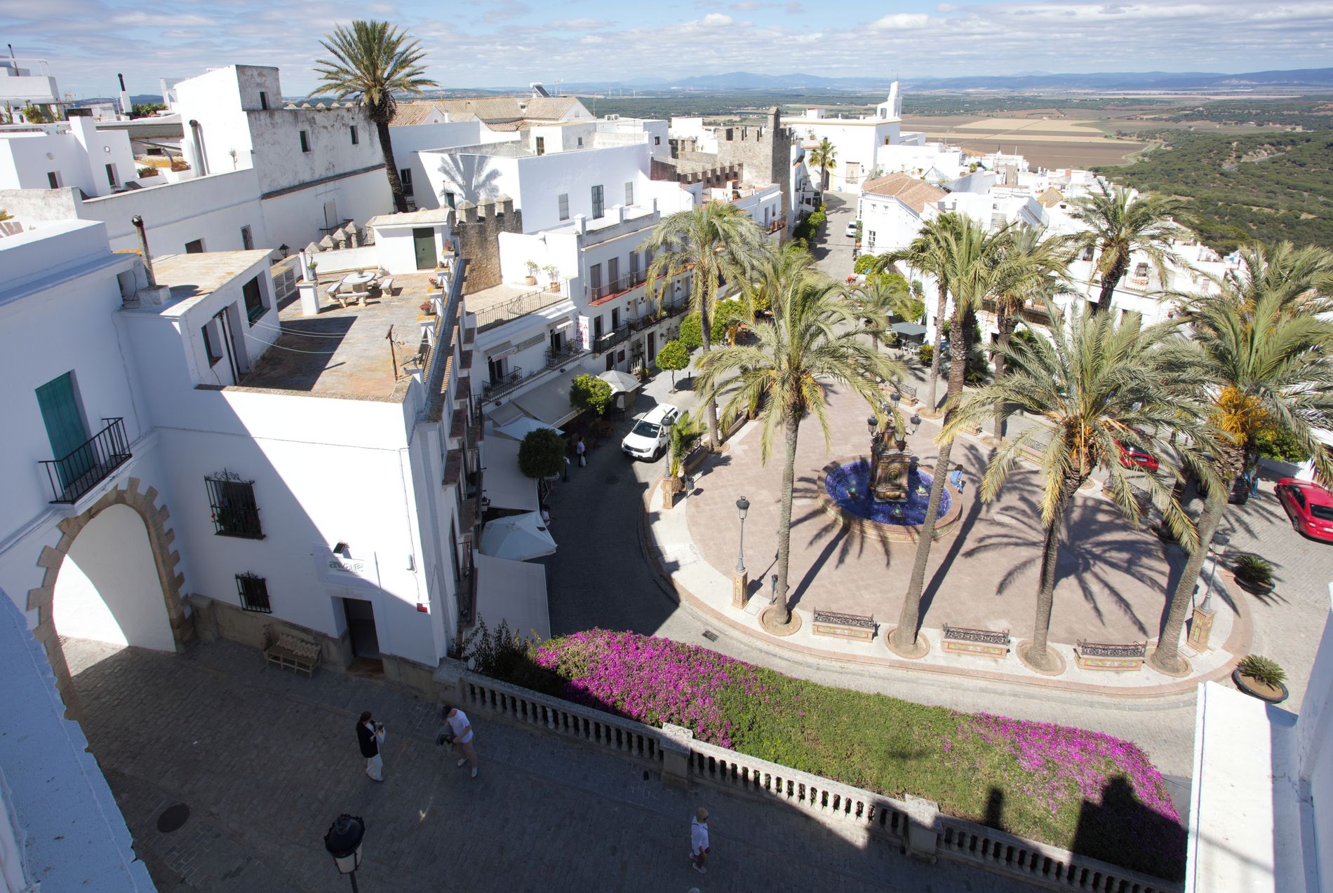 Un patio con palmeras, una fuente y vistas de los edificios circundantes.