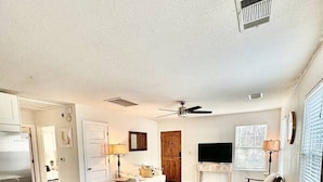 電視