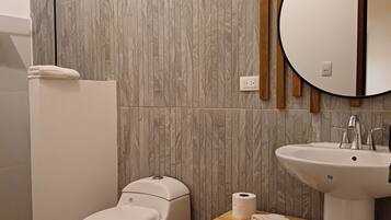 A bathroom with a toilet, a sink, and a mirror.