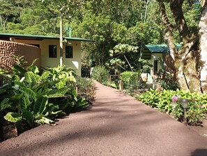 Un camino pavimentado que conduce a un edificio rodeado de abundante vegetación y árboles.