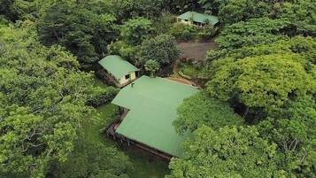 Une propriété isolée, entourée d’une forêt dense, comprenant un bâtiment principal doté d’un toit végétalisé et une construction plus petite située à proximité.
