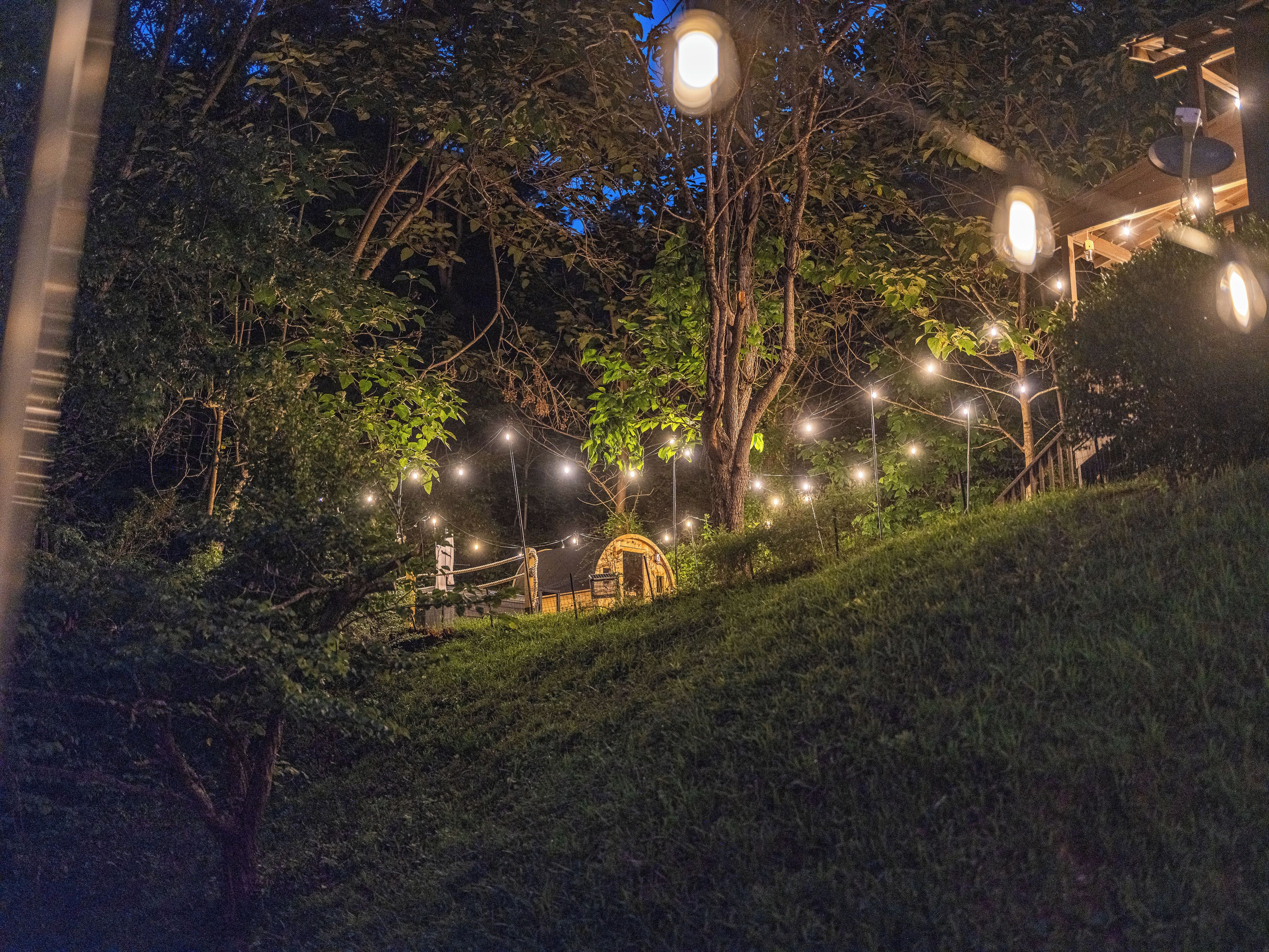 Een sfeervol nachtlandschap met lichtjes, bomen en een houten constructie.