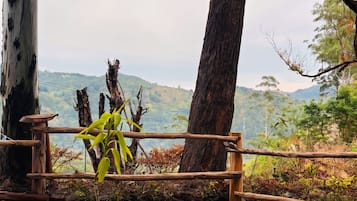 A dirt path leading to a wooden fence overlooking a hilly landscape.