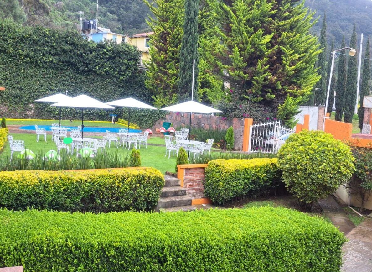 A well-maintained outdoor area with neatly arranged tables and chairs under umbrellas, surrounded by lush greenery and a stone wall.