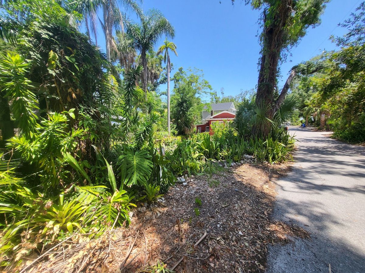 A pathway leading to a building surrounded by dense tropical vegetation.