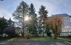 Ein von einer Hecke umgebener Außenbereich mit hohen Bäumen und einem Gebäude im Hintergrund.