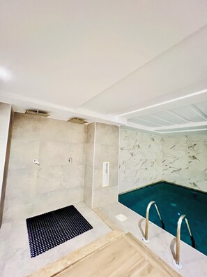 A modern bathroom with a built-in jacuzzi, a shower area, and a pool.
