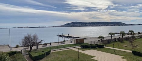 A waterfront park with pathways, benches, and a dock.