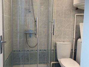Eine Duschkabine aus Glas mit einem direkt angrenzenden WC.