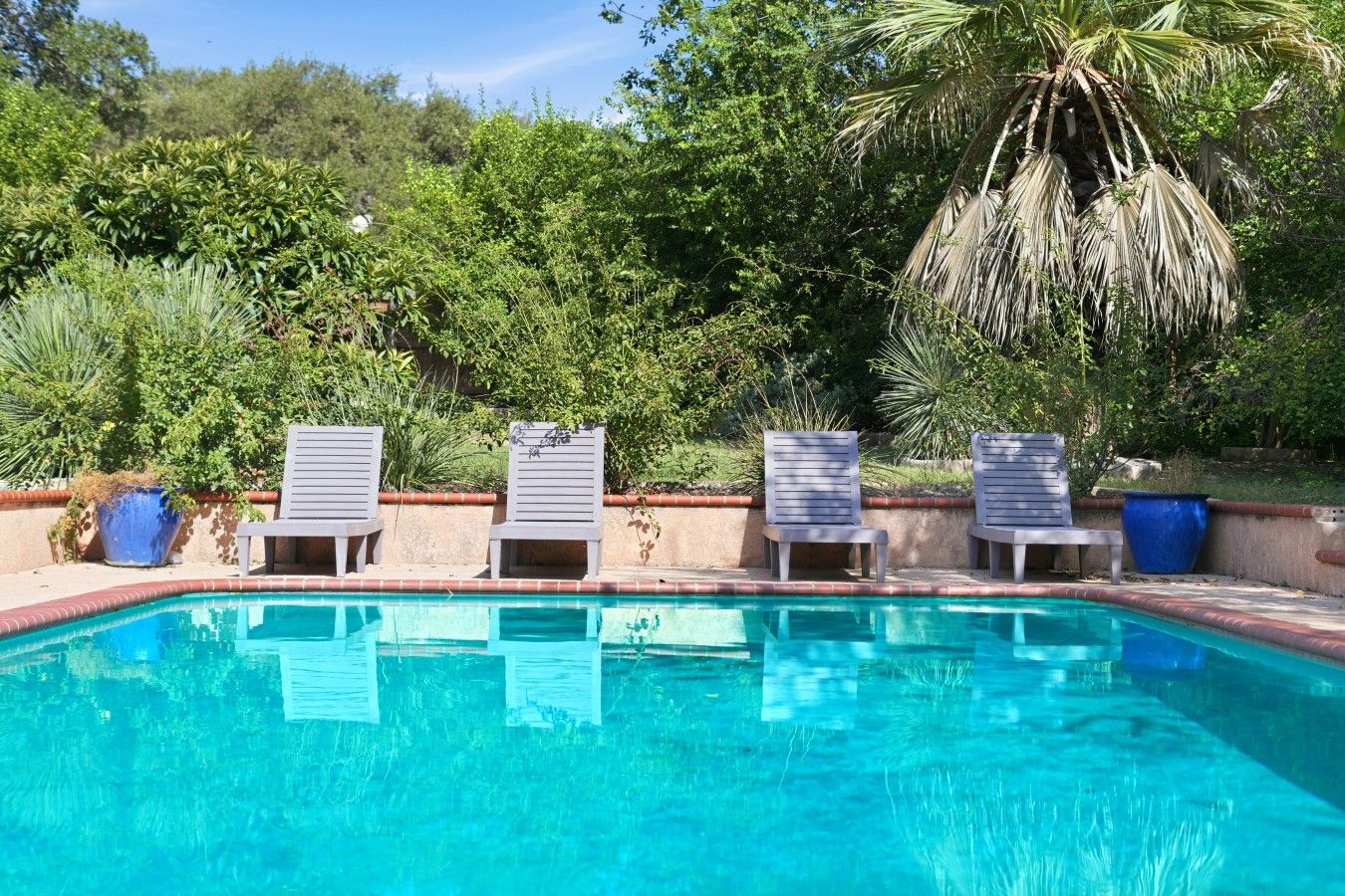 Una piscina con cuatro sillas de descanso alineadas a lo largo de su borde, rodeada de exuberante vegetación y una palmera.