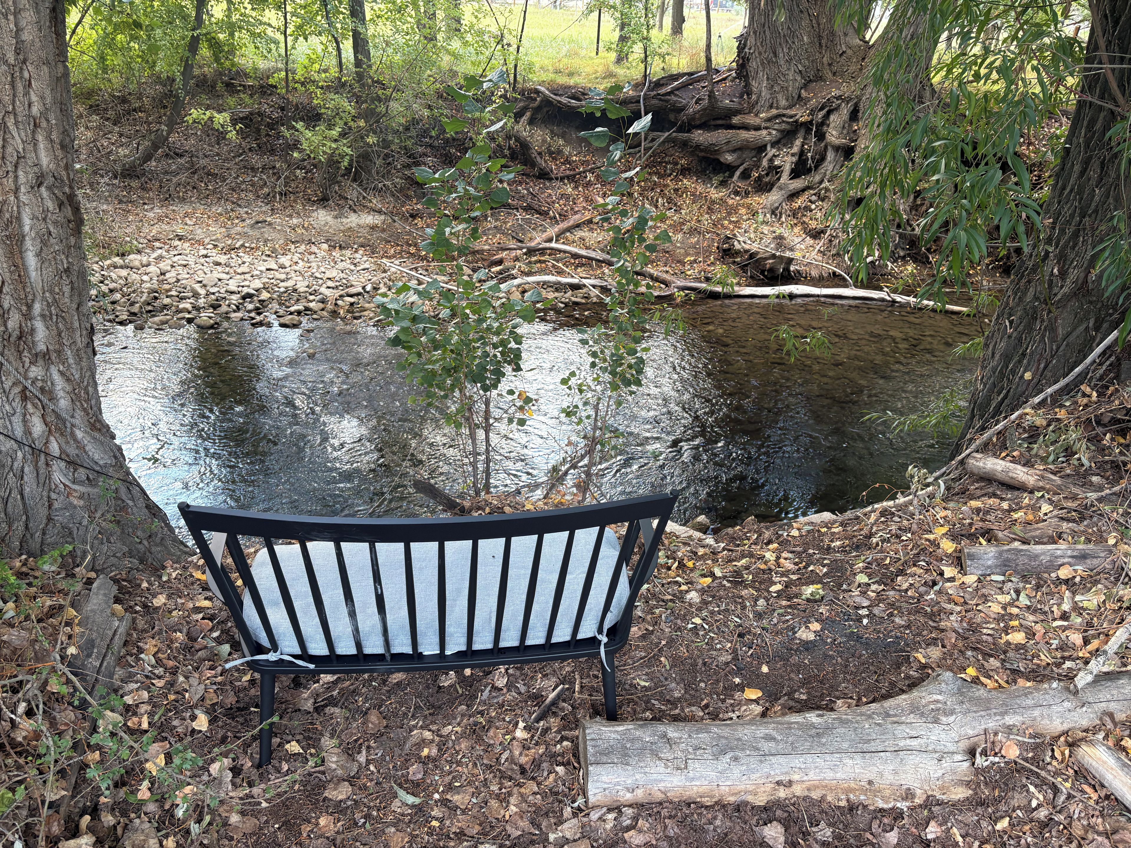 A bench in a wooded area with a small stream.