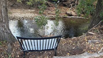 A bench in a wooded area with a small stream.