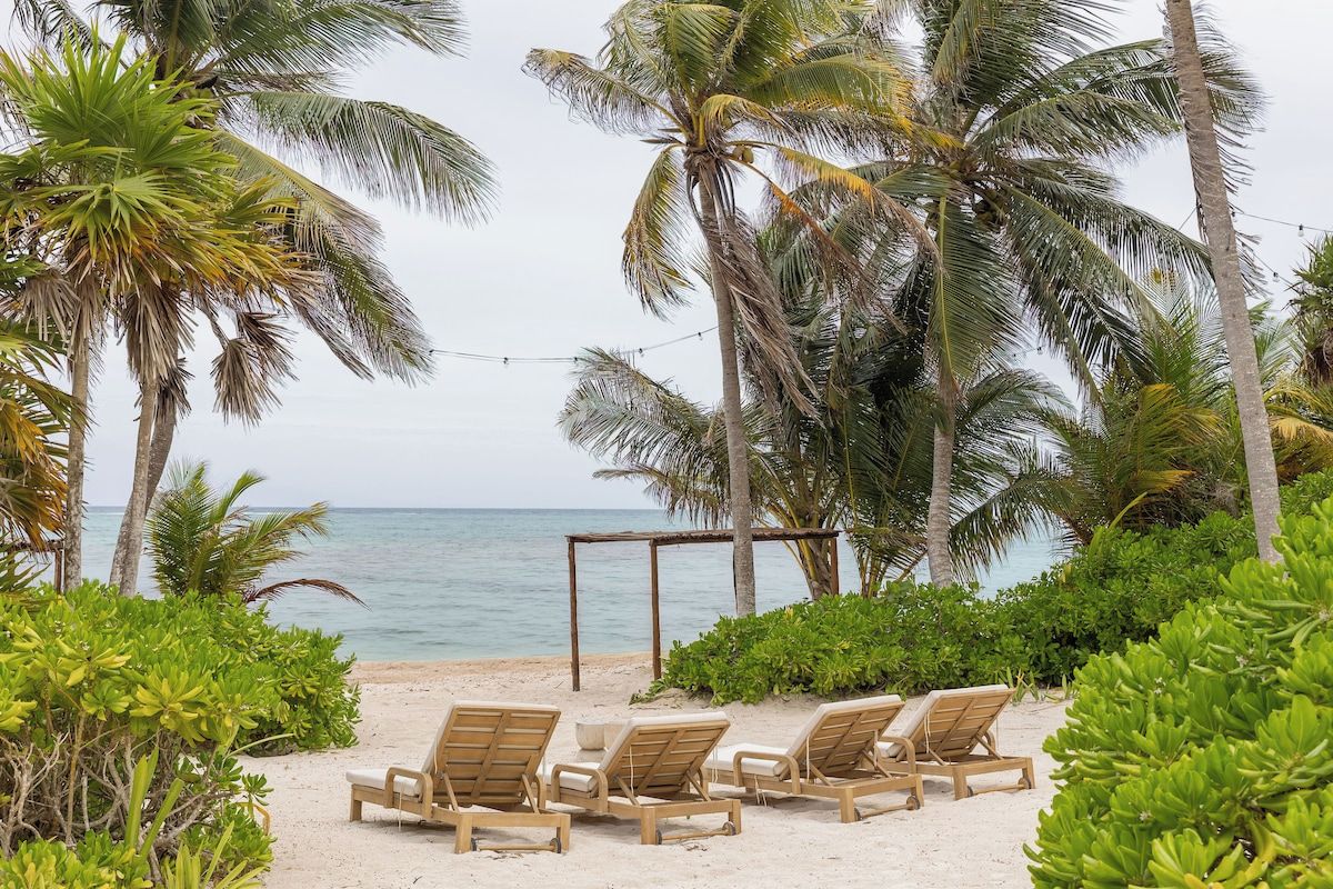 A beach with palm trees, a wooden pergola, and lounge chairs.