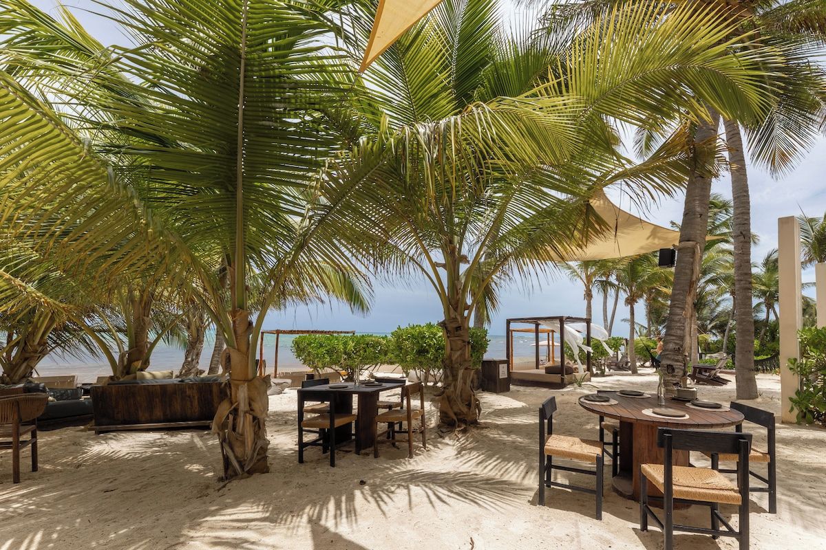 An outdoor seating area with tables and chairs, surrounded by palm trees and a view of the beach.