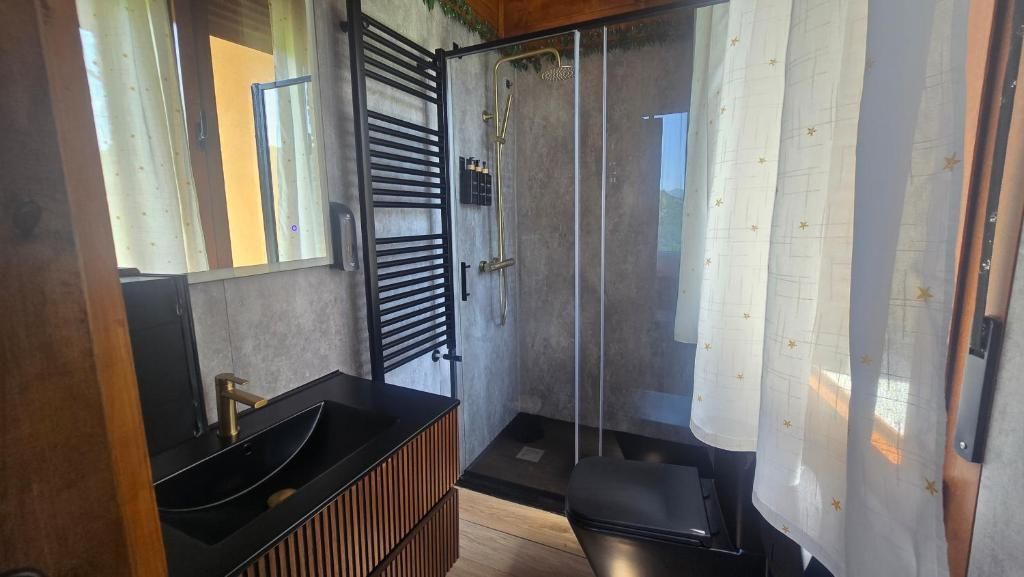 A modern bathroom with a glass shower enclosure, a black sink, and a wooden vanity.