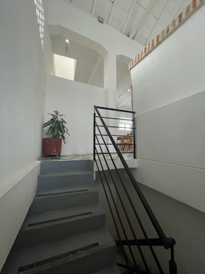 Eine Treppe mit Metallgeländer, ein Blumentopf und Blick auf einen Raum mit Fenster und Möbeln.