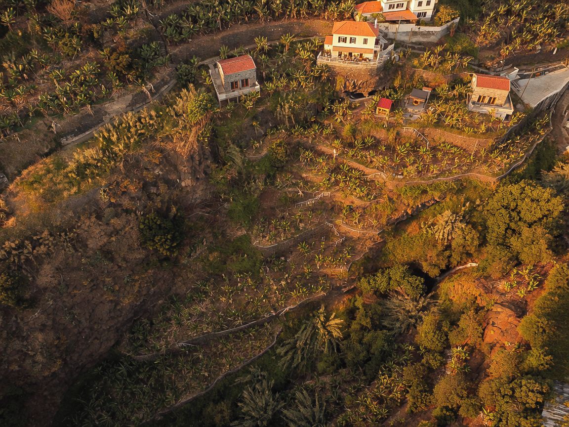 Vue aérienne d’un quartier résidentiel où les maisons sont entourées d’une végétation luxuriante.