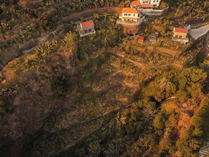 An aerial view of a residential area with houses surrounded by dense vegetation.