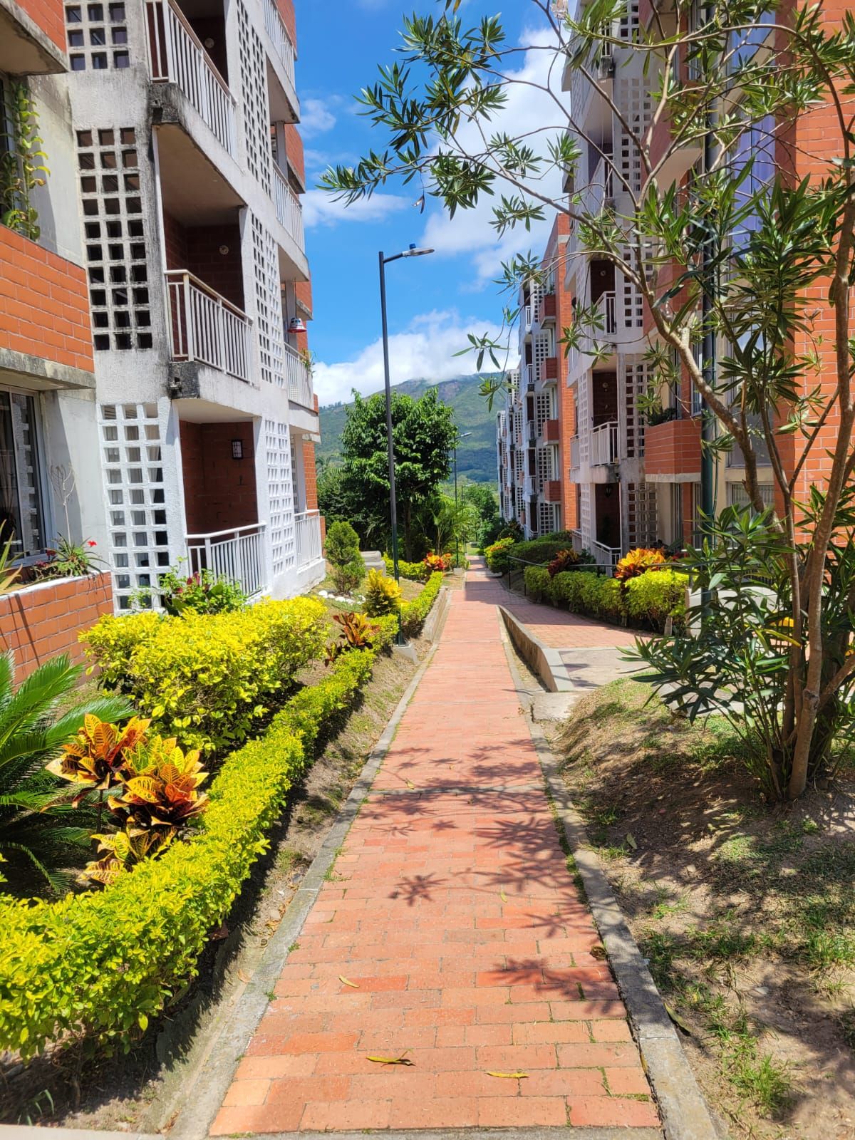 Un sendero bordeado por edificios de varios pisos con balcones, rodeado de abundante vegetación y un cielo despejado.