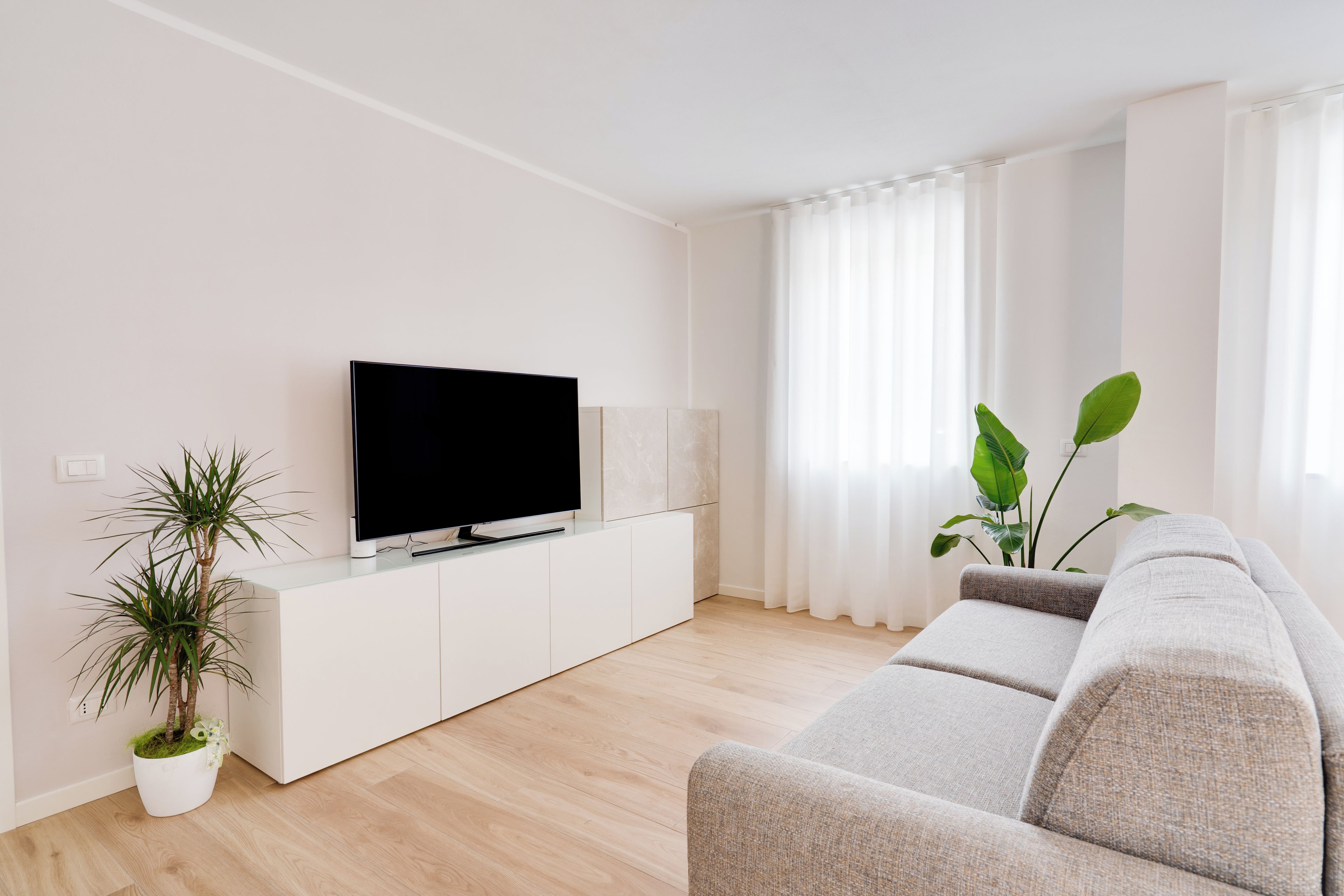 Un soggiorno moderno con una TV a schermo piatto su un mobile bianco, un divano grigio e due piante in vaso.