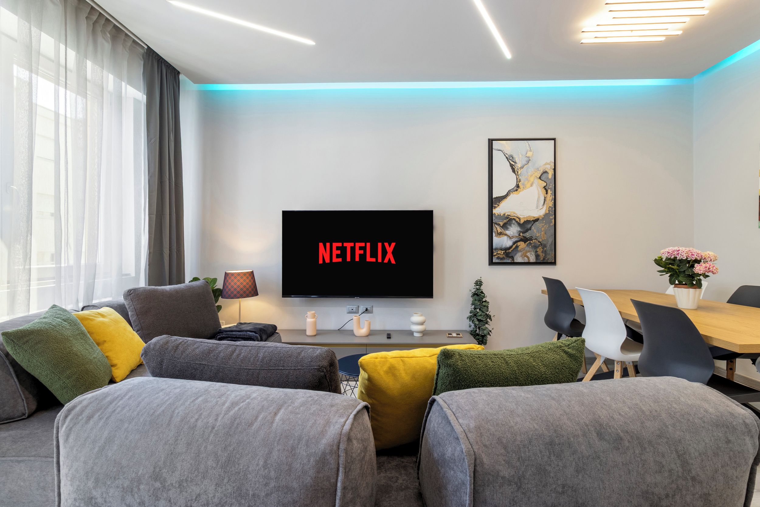 A modern living room with a flat-screen TV displaying 'NETFLIX,' a dining area with a wooden table and chairs, and a decorative plant.