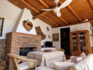 Une pièce chaleureuse avec une cheminée en pierre, un ventilateur de plafond, des meubles en osier et un meuble avec des portes en verre.