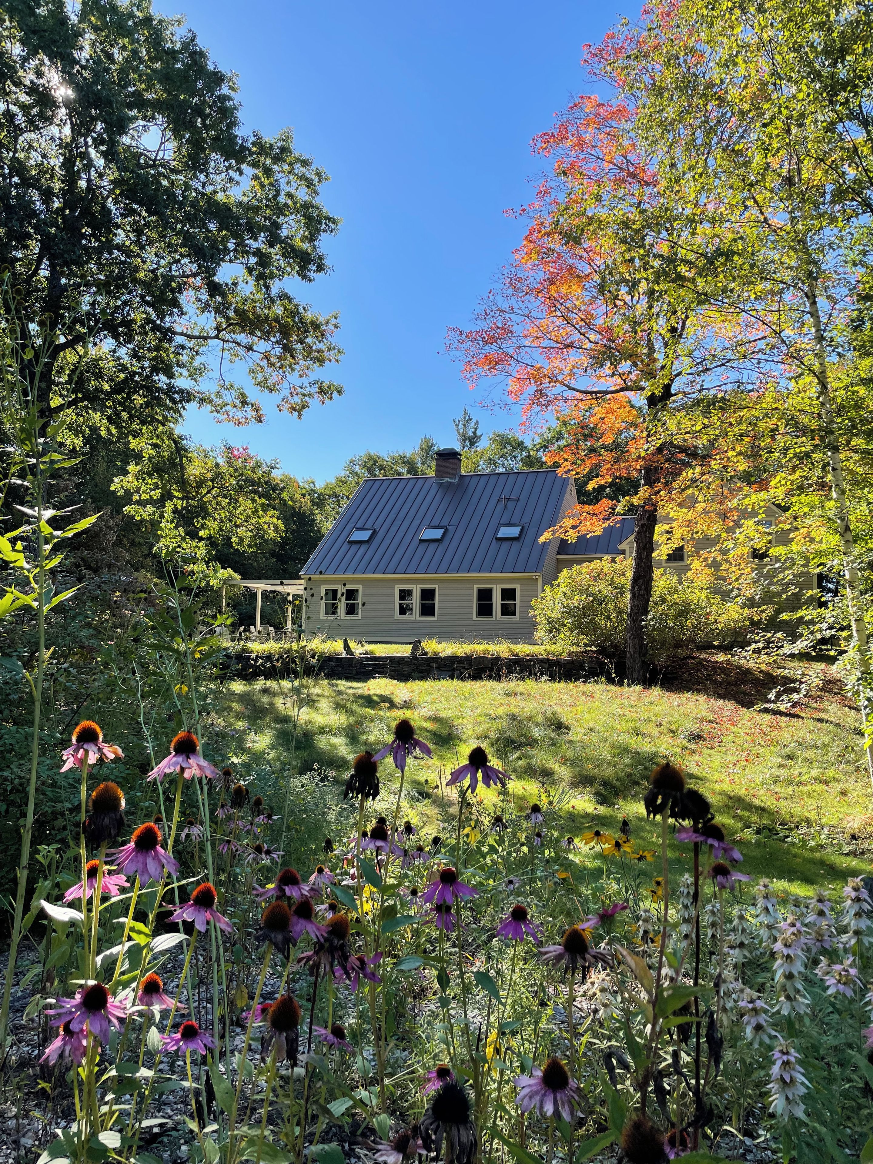 A house with a sloped roof, surrounded by a garden with various flowers and trees.
