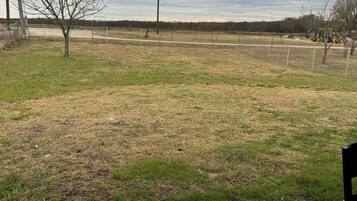 An outdoor area with a fenced field, a tree, and a tractor.