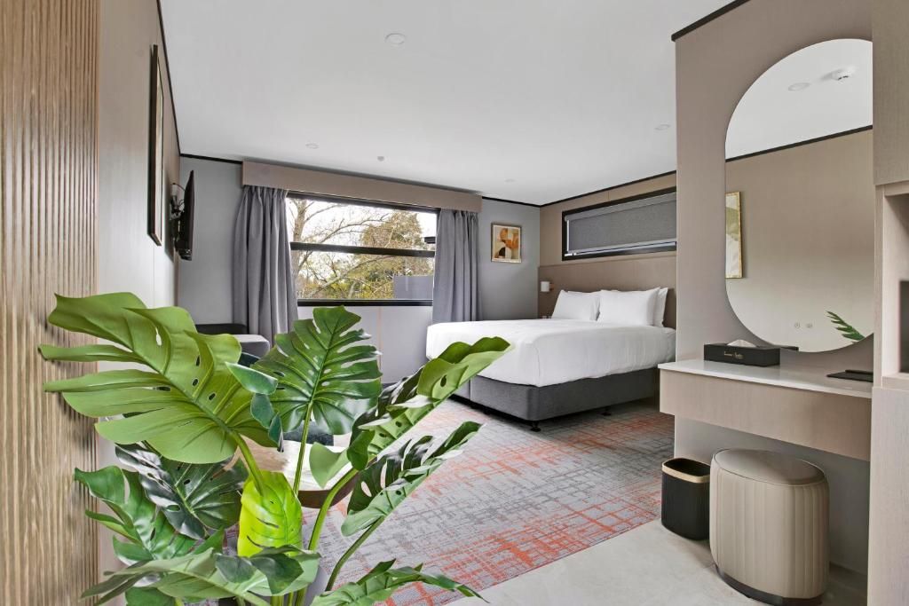 Ein modernes Hotelzimmer mit einem Bett, einem Schreibtisch, einem Sessel, einem großen Fenster und einer Zimmerpflanze.