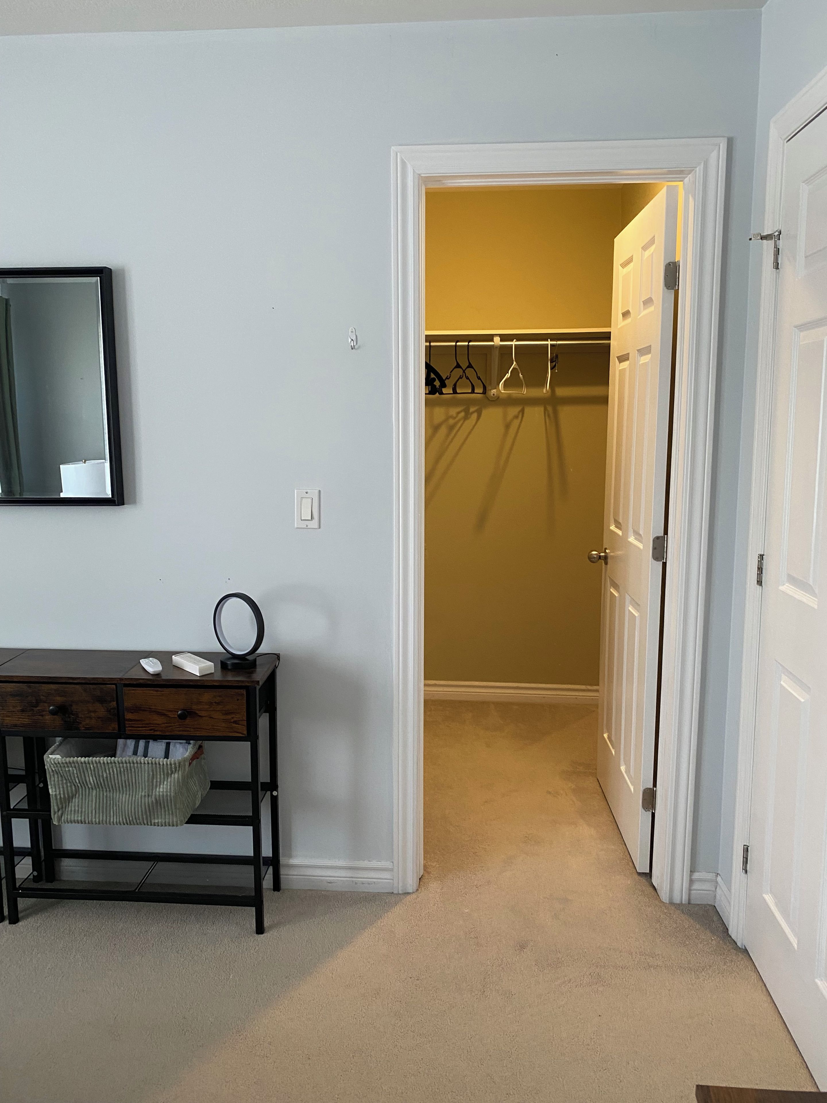 A room with a desk, a mirror, a hanging coat rack, and a door leading to a closet.