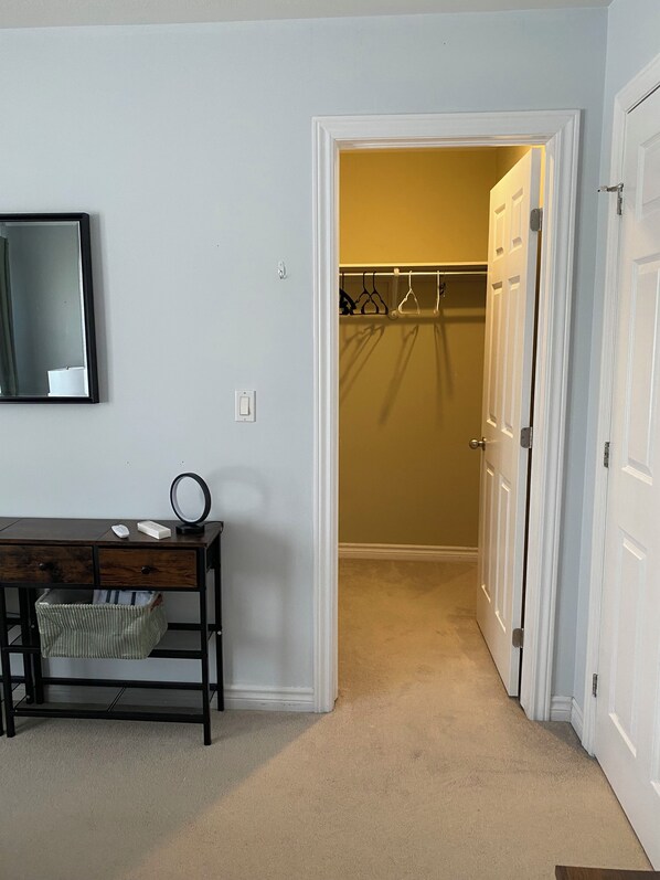 A room with a desk, a mirror, a hanging coat rack, and a door leading to a closet.