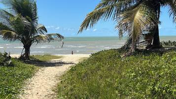 Un sentier de plage sablonneux, bordé de palmiers, avec vue sur l’océan.