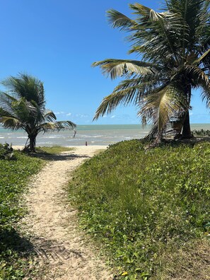 A sandy beach path with palm trees and a view of the ocean. - Melhores Flats - Prático, 30m do mar (João Pessoa)