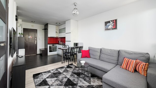 Un salon moderne avec un canapé gris, un tapis à motifs noir et blanc et un coussin rouge.