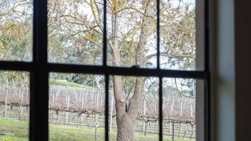 Une fenêtre donnant sur un vignoble et un arbre.