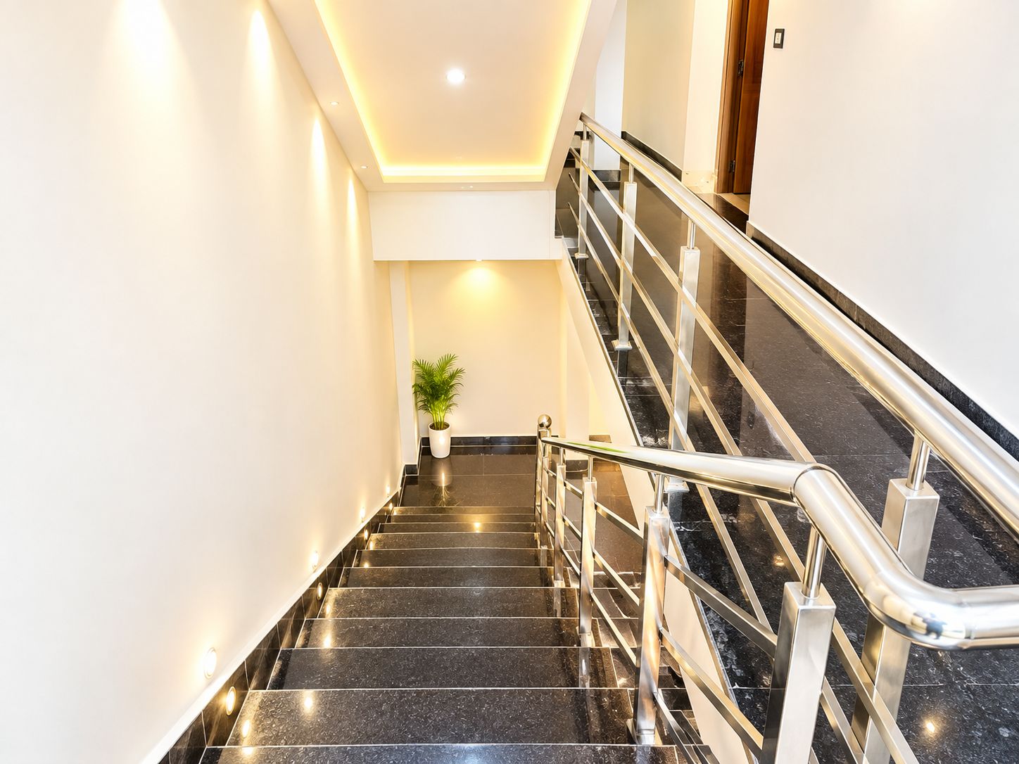 Una escalera moderna con barandilla, una planta en maceta y una puerta al final.